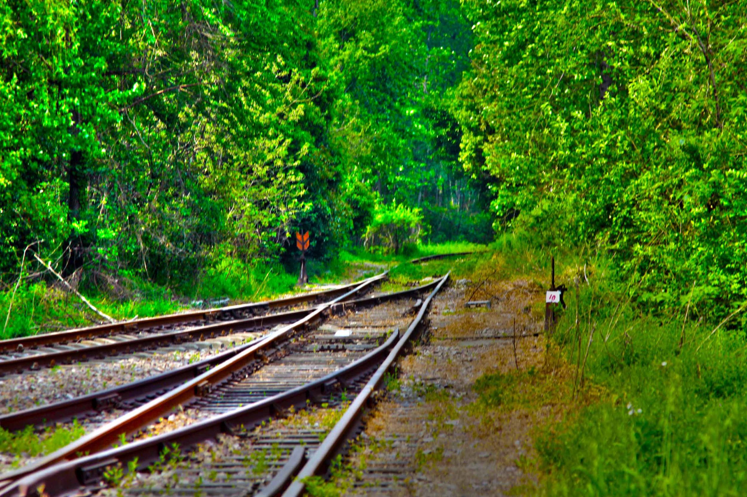 我省今年年內(nèi)有4條鐵路線投入運營更多出行選擇！