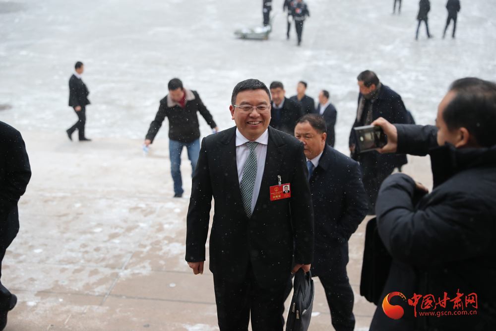 【聚焦2020甘肅兩會(huì)】“兩會(huì)”代表、委員風(fēng)采掠影（組圖）