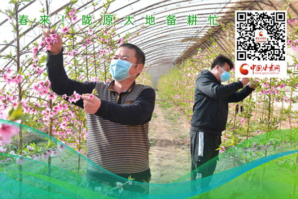 海報(bào)丨春來(lái)！隴原大地春耕忙