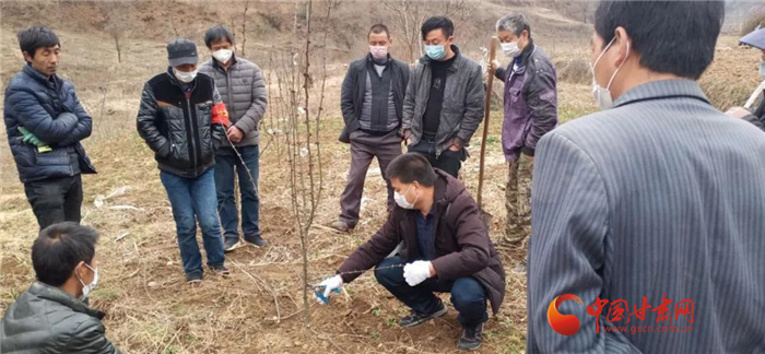 【甘肅全民戰(zhàn)“疫”】隴南徽縣：花椒田里培訓(xùn)忙，戰(zhàn)疫春耕兩不誤