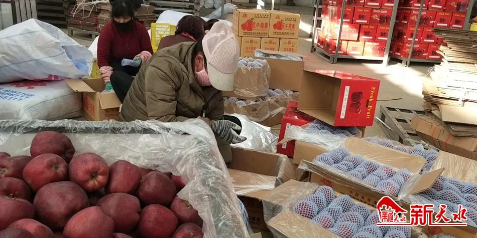 天水“花?！弊罱悬c“牛”