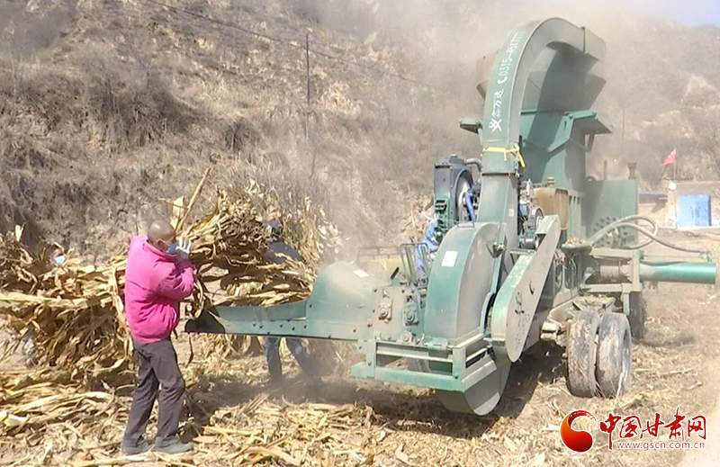 甘肅華池：綠色循環(huán)經(jīng)濟(jì)讓玉米秸稈成農(nóng)戶(hù)致富增收“寶貝疙瘩”（圖）