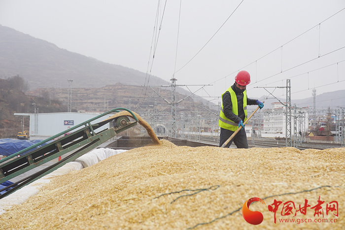 蘭州貨運中心岷縣營業(yè)部黨支部為客戶解愁為企業(yè)復(fù)工復(fù)產(chǎn)按下“快進鍵”