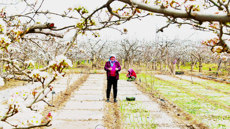 持續(xù)鞏固脫貧成果 確保如期打贏脫貧攻堅戰(zhàn)——訪酒泉市委書記吳仰東