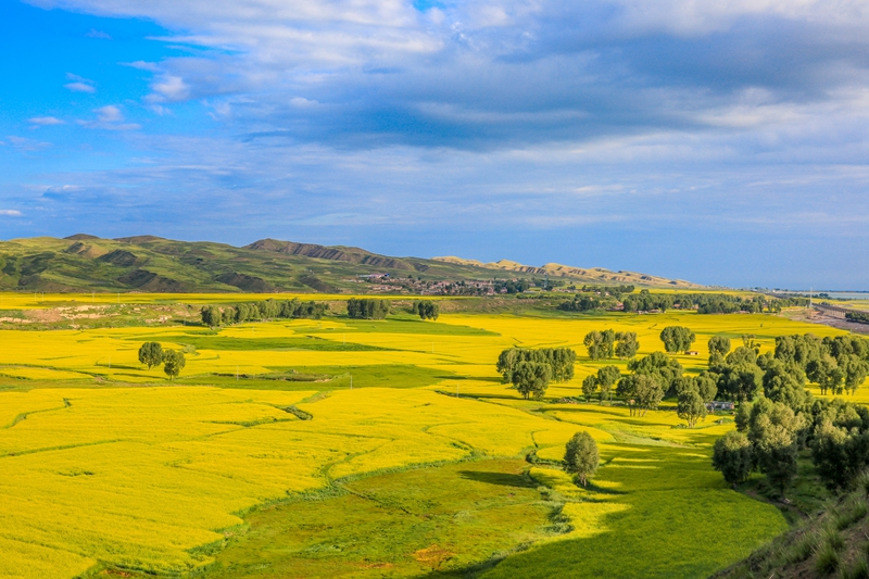 創(chuàng)意海報(bào)丨甘肅的美，你來了才知道