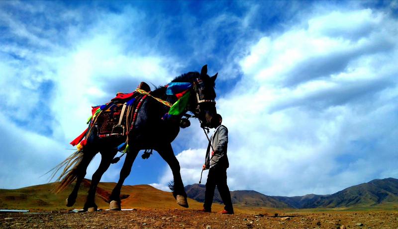 好消息！天祝被命名為“中國高原走馬之鄉(xiāng)”