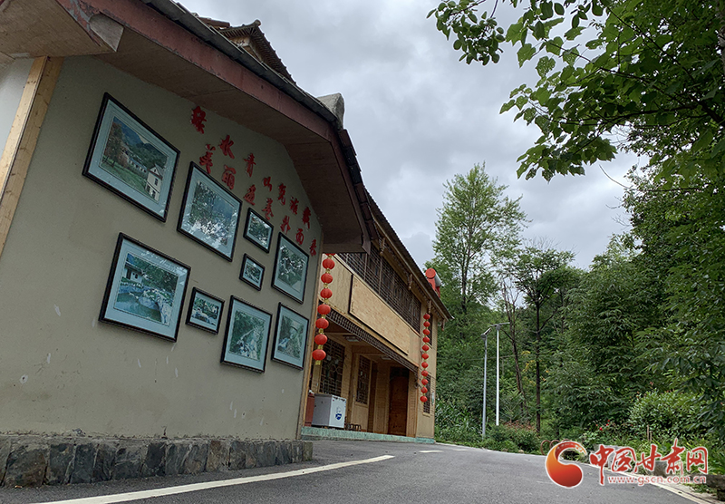 【走向我們的小康生活】村美、業(yè)興、民富……康縣何家莊描繪鄉(xiāng)村振興新畫卷（圖）