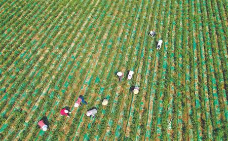 幸福敲開(kāi)農(nóng)家門(mén)——隴南徽縣脫貧攻堅(jiān)工作綜述