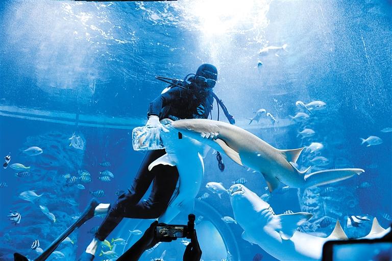 蘭州海洋公園 金昌火星1號(hào)基地 這個(gè)暑假我們“上天入?！?>
        </a><em>蘭州海洋公園 金昌火星1號(hào)基地 這個(gè)暑假我們“上天入?！?/em></li>
    <li><a  target=