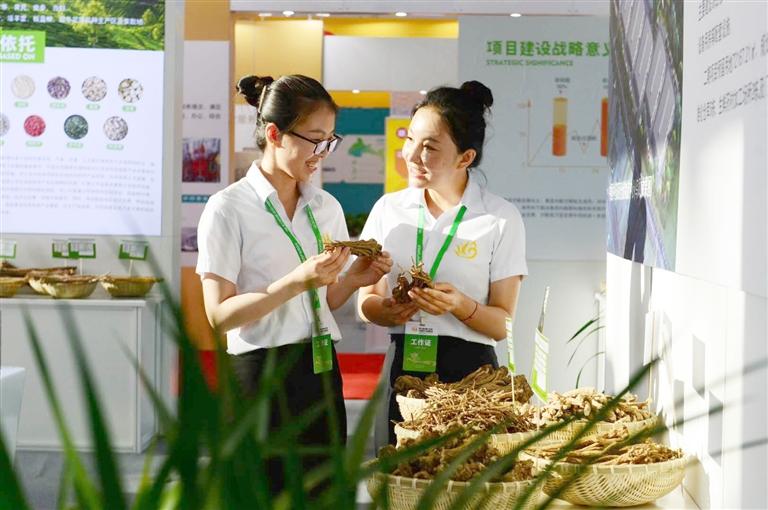 定西，從“千年藥鄉(xiāng)”邁向“中國藥都”