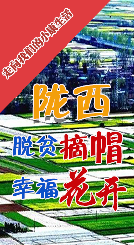 【走向我們的小康生活】長圖|隴西：脫貧摘帽 幸?；ㄩ_