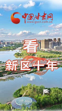 圖解|崛起！新區(qū)十年