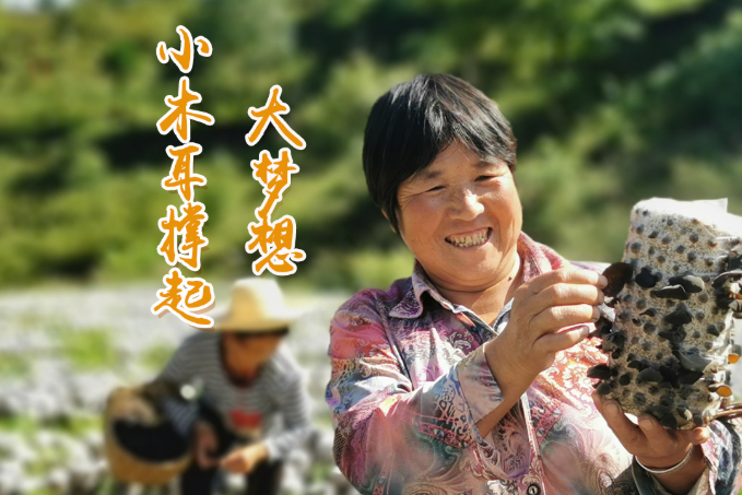 海報(bào)丨他們，乘“豐”破浪！