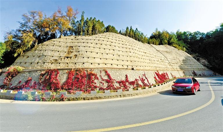 近90度陡坡上種樹！蘭州南北兩山綠化出新招