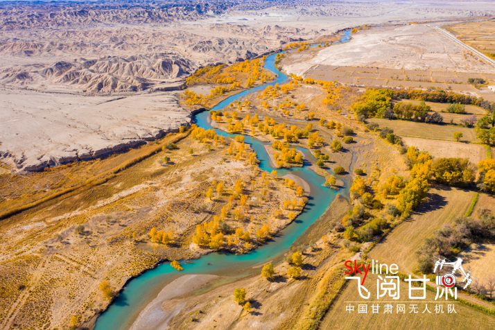 【飛閱甘肅】好美！疏勒河畔大地斑斕