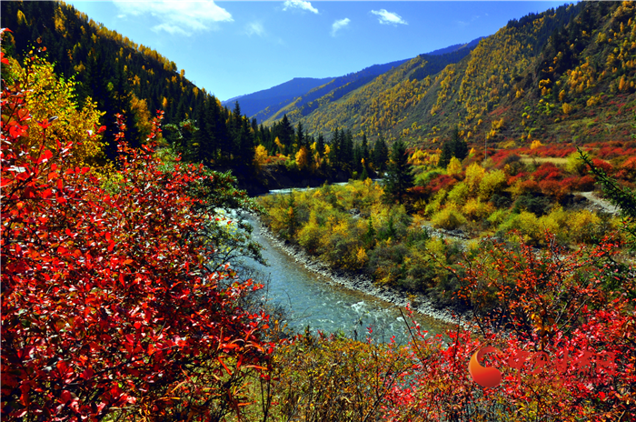 【擔使命 聚同心 促巨變 省直部門落實脫貧攻堅責(zé)任工作紀實】綠水青山戰(zhàn)貧困 甘肅省生態(tài)扶貧帶動百姓增收