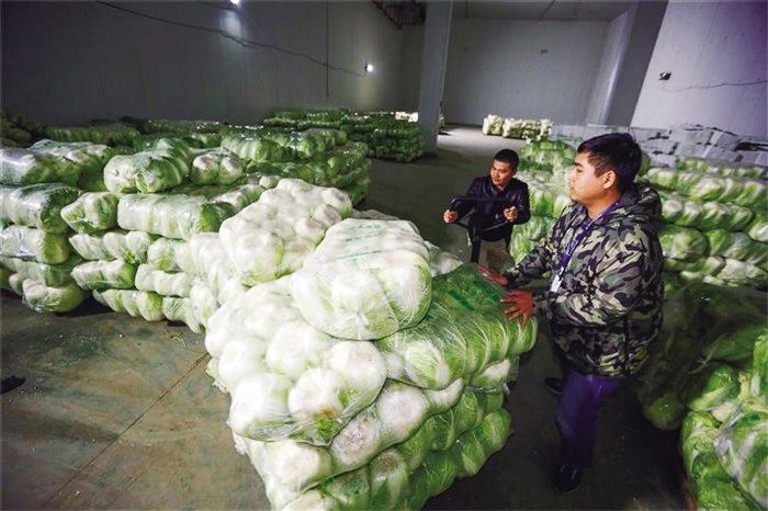蘭州市已儲(chǔ)備1萬(wàn)噸冬春蔬菜以耐貯存、易周轉(zhuǎn)品種為主