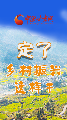 圖解|定了！全面推進(jìn)鄉(xiāng)村振興這樣干！
