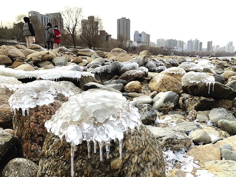 蘭州：水母上河灘？