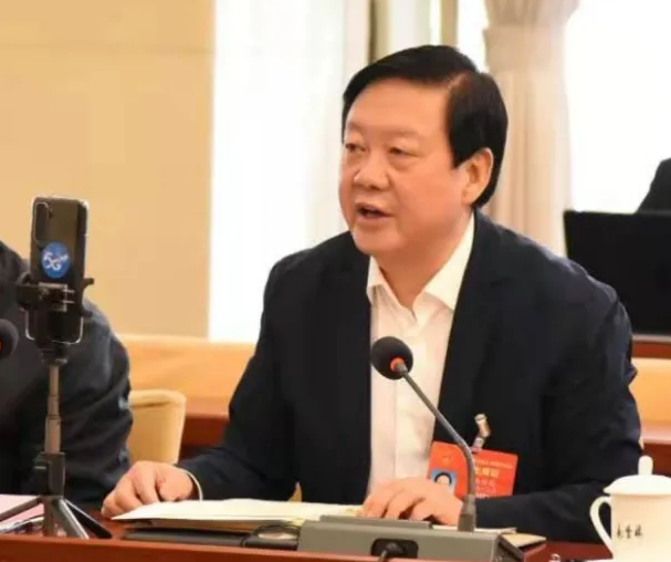 【聚焦2021全國兩會】全國人大代表、市委書記楊維俊接受中國日報記者采訪