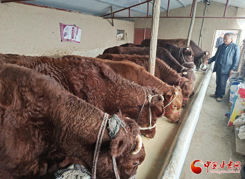 平?jīng)鰶艽ǎ骸芭！碑a(chǎn)業(yè)鋪就致富路