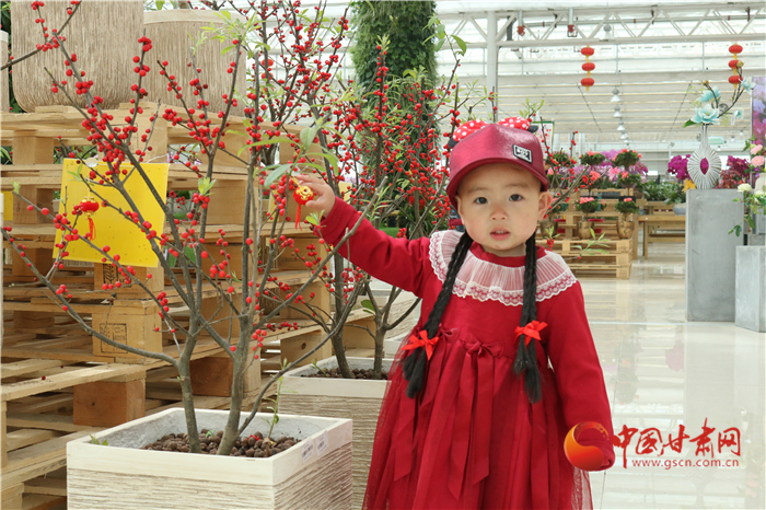 【鄉(xiāng)村振興看甘肅】蘭州新區(qū)：百花爭艷春光美 游客賞花正當(dāng)時(shí)