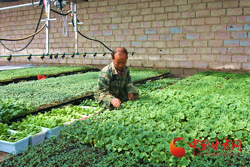 瓜州：學(xué)黨史辦實(shí)事 讓產(chǎn)業(yè)分紅資金曬在陽光下