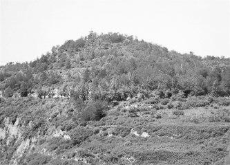 歷史眼丨張果老是正寧人？他與甘肅福緣不淺