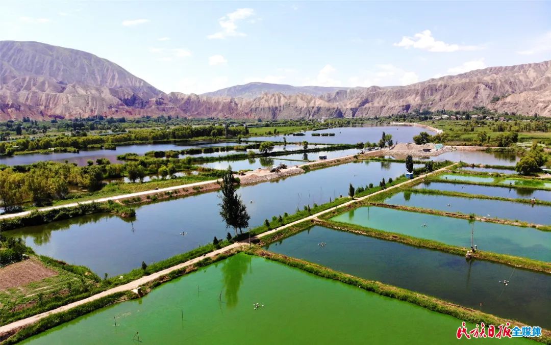 一秒入畫！太極島濕地風(fēng)光秀麗