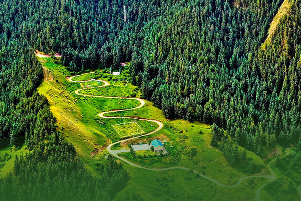 海報(bào)|祁連山保護(hù)區(qū)生態(tài)環(huán)境問題整改全面完成！