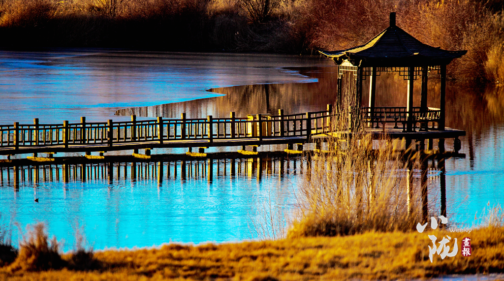 【小隴畫(huà)報(bào)·127期】肅北黨河峽谷冬景別致