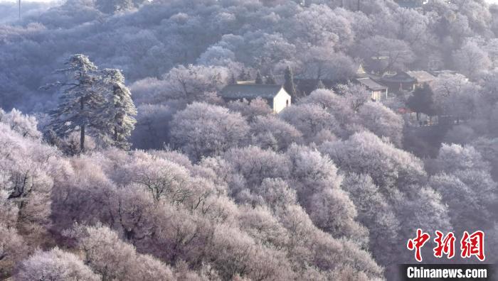 圖為霧凇美景?！⌒煺袢A 攝