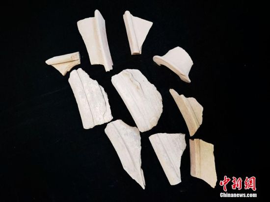 圖為靜寧縣賈河鄉(xiāng)竇坪村出土的彩陶片、紅陶片。 夏劍鋒 攝