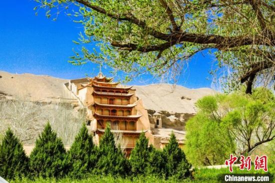 4月的敦煌莫高窟景區(qū)春意盎然。(資料圖) 王斌銀 攝