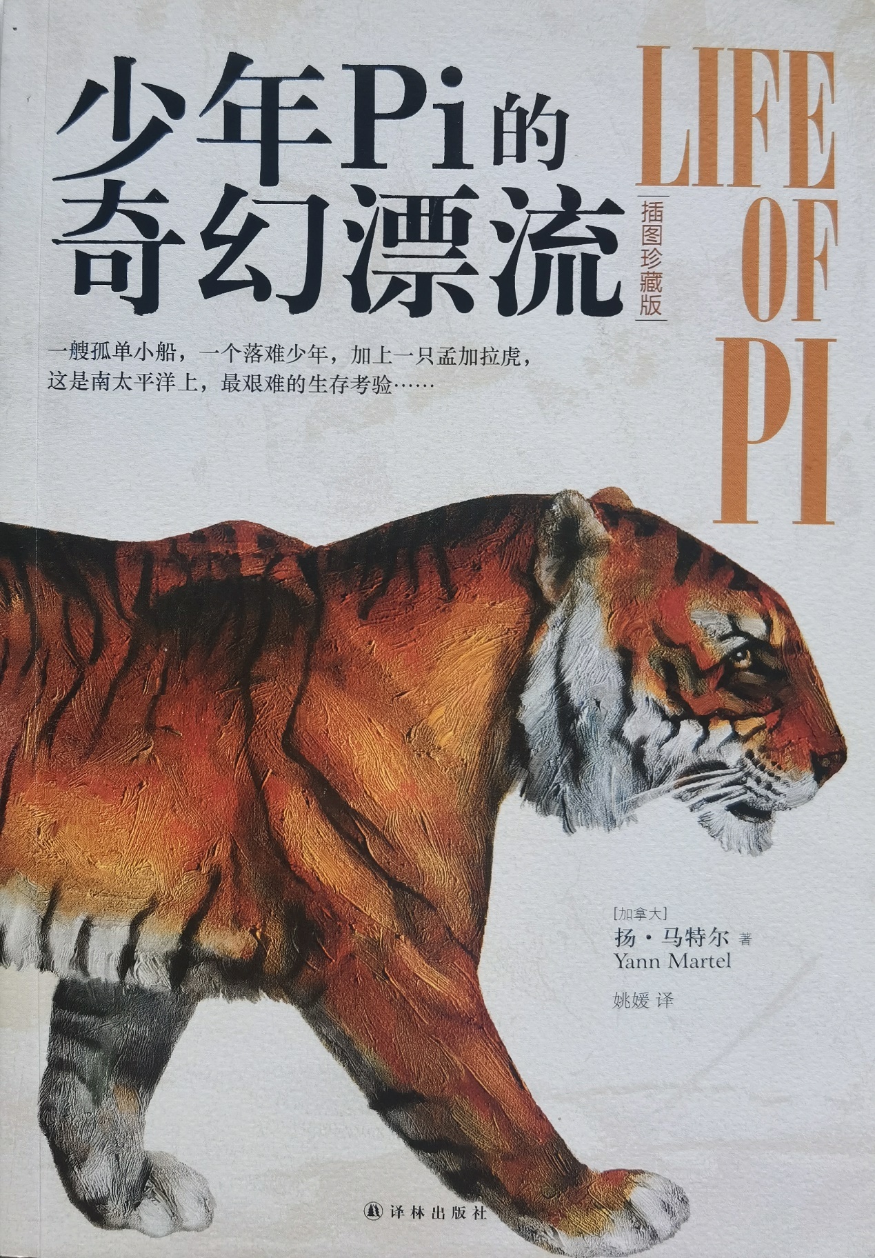 插圖1：揚(yáng)？馬特爾的小說《少年pi的奇幻漂流》封面