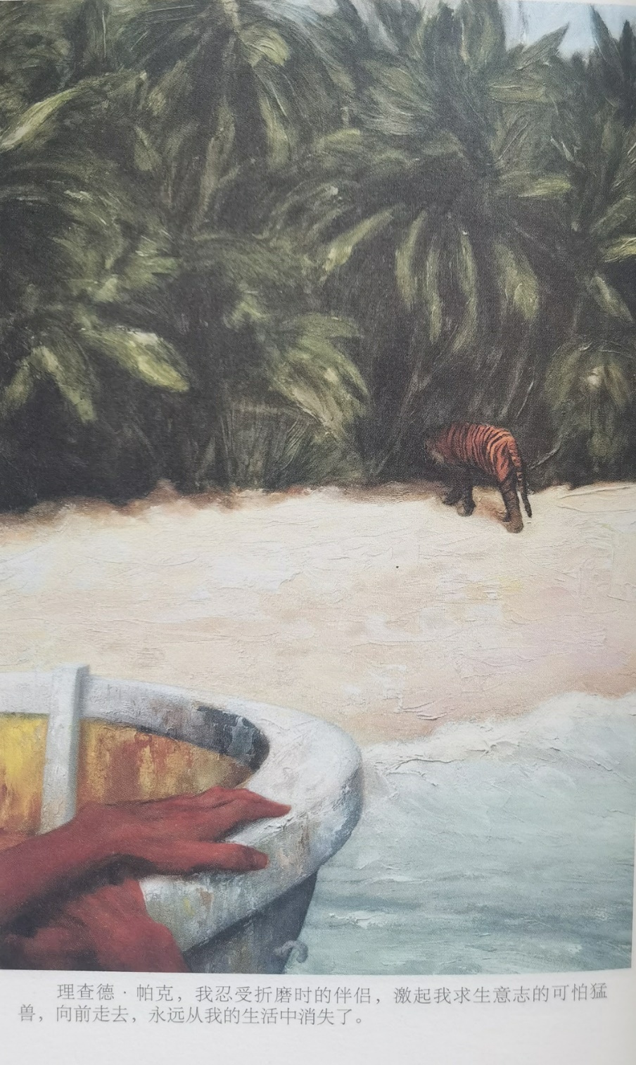 插圖3：揚(yáng)？馬特爾的小說《少年pi的奇幻漂流》插圖