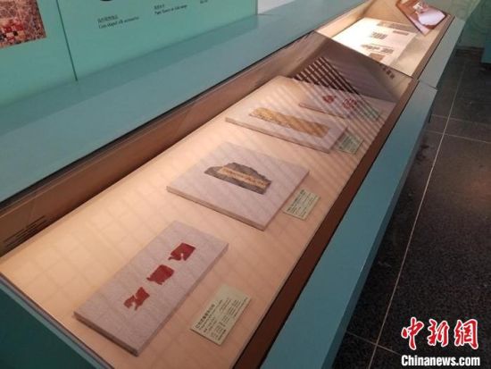 圖為展覽現(xiàn)場(chǎng)?！《鼗脱芯吭汗﹫D