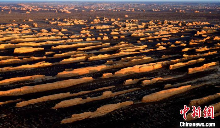 敦煌雅丹世界地質公園。(資料圖) 敦煌市委宣傳部供圖