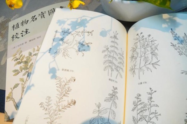 《植物名實圖考校注》內(nèi)頁。圖片來源：中華書局供圖