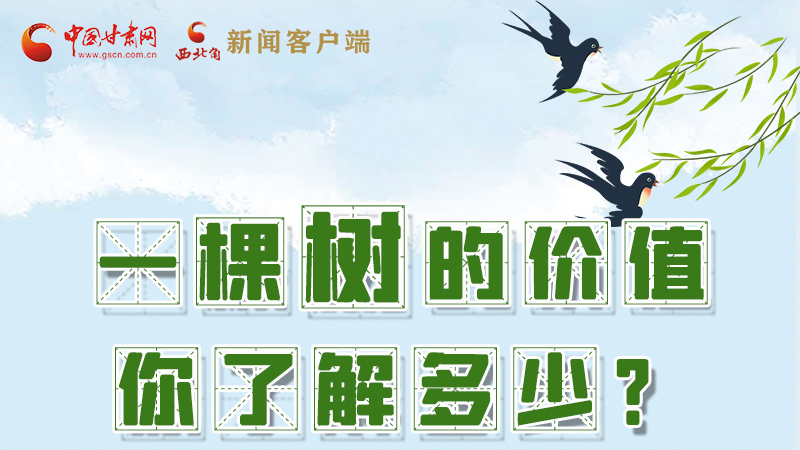 圖解|一棵樹的價(jià)值你了解多少?來(lái)看！