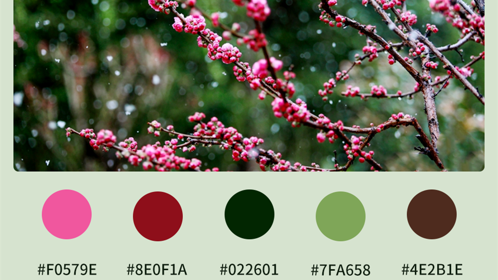 微海報(bào)|收藏！色卡里的春日甘肅