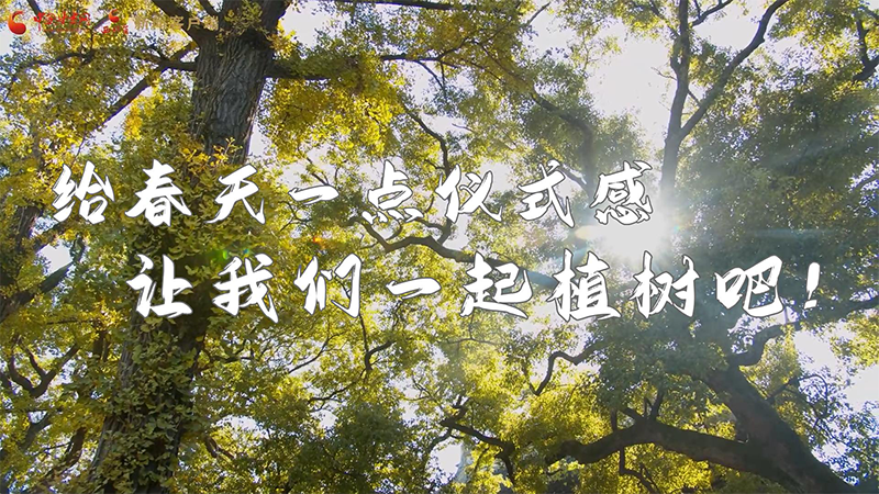 短視頻|給春天一點儀式感，讓我們一起植樹吧！