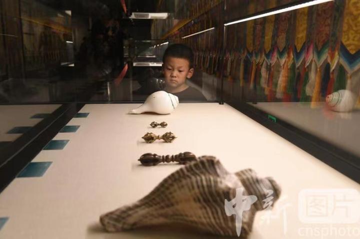 圖為展出的“白海螺法器”吸引小觀眾。 中新社記者 戴文昌 攝