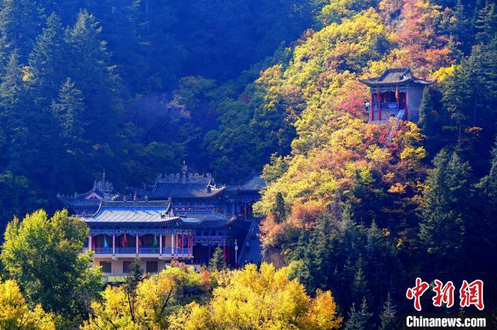 深秋，位于蘭州市榆中縣的興隆山景色如畫(huà)。宮衛(wèi)紅 攝