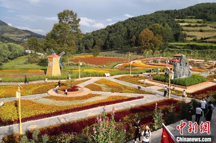 圖為航拍甘肅甘南臨潭縣八角鎮(zhèn)，花海吸引游人。(資料圖)高展 攝