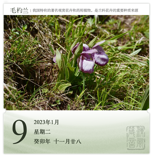 1704710048407837.png 箴歷日歷1-9.png