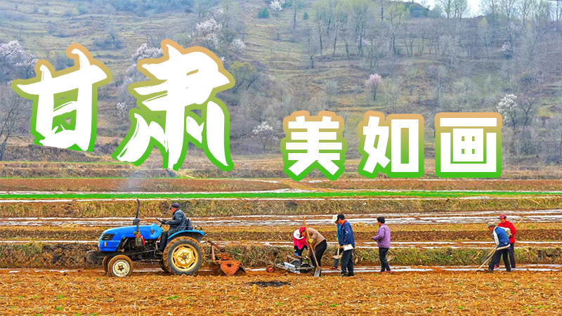 微海報|甘肅，美如畫