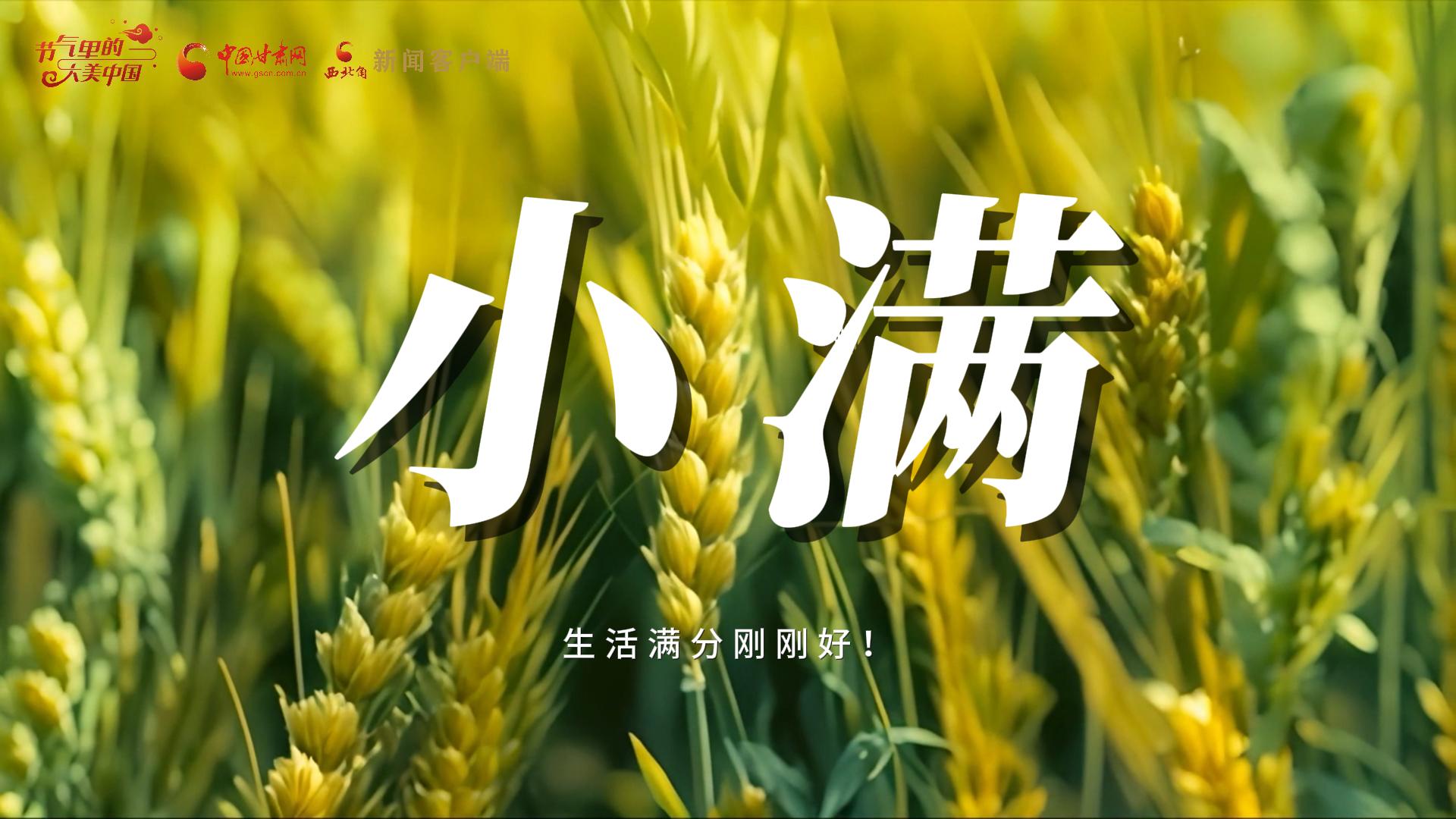 【節(jié)氣里的大美甘肅·小滿】生活滿分剛剛好！