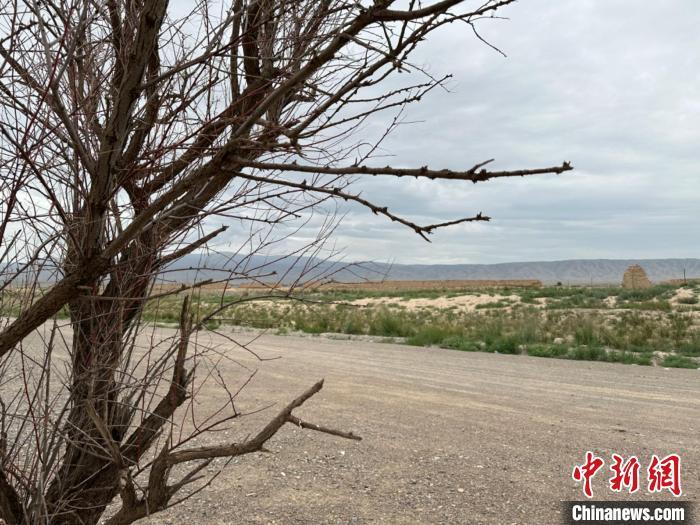 圖為位于長城墻體上的“馬面”或“敵臺”?！〈魑牟?攝