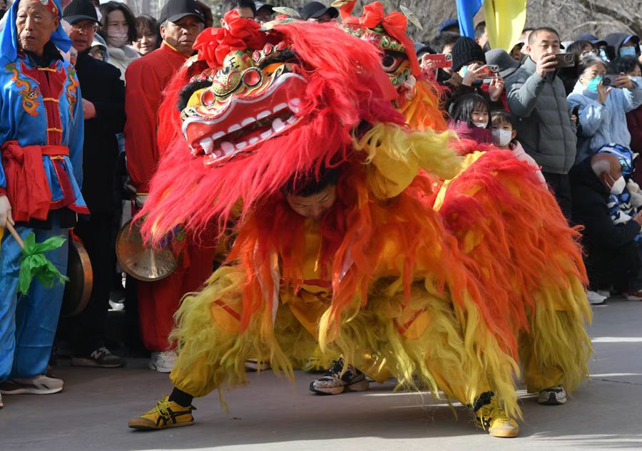 蘭州北獅表演現(xiàn)場(chǎng)。受訪者供圖